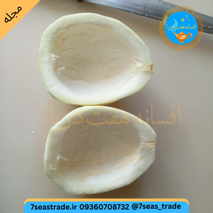 میوه بالنگ پوست کنده داخل محتویات ان کامل مشخص است برای پختن مربا